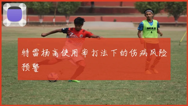 特雷杨高使用率打法下的伤病风险预警