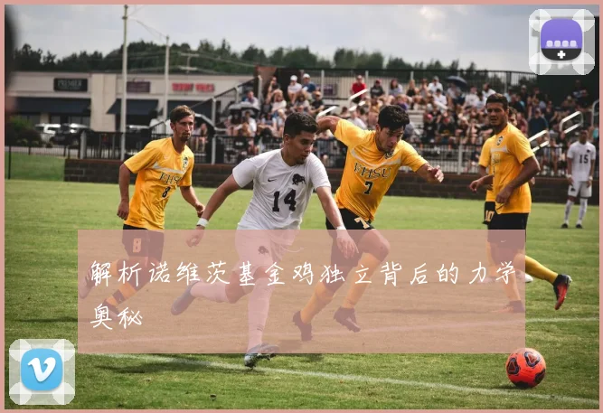 解析诺维茨基金鸡独立背后的力学奥秘