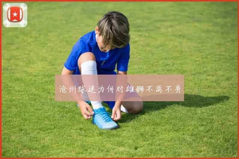沧州球迷为何对雄狮不离不弃