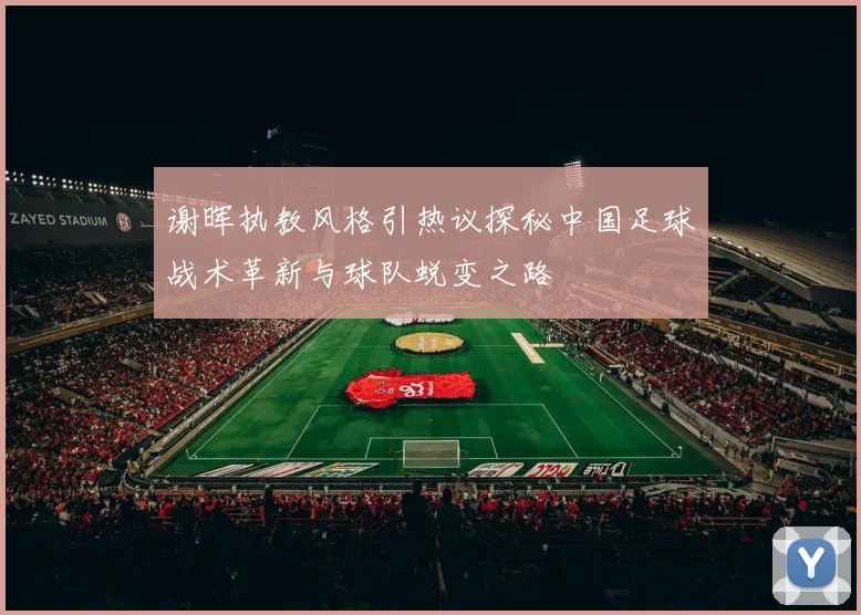 谢晖执教风格引热议探秘中国足球战术革新与球队蜕变之路