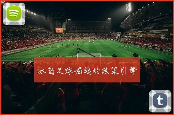 冰岛足球崛起的政策引擎