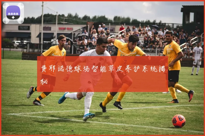 费耶诺德球场智能草皮养护系统揭秘