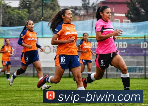 biwin平台生态图